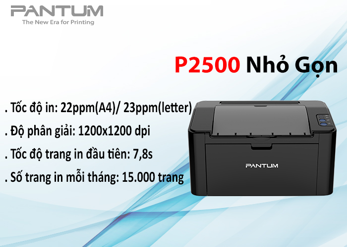 M&aacute;y in Pantum P2500